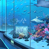 Aquarium icon.png