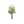 Evergreen Tree icon.png