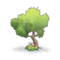 Garden Broadleaf Tree icon.png