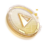 Intuition Chip III icon.png
