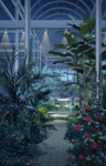 Misc Location - Greenhouse (Night).png