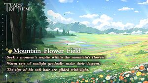 Nosta Mountain Flower Field.jpg