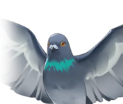 Pigeon character icon.png
