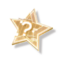 Selection Star SR icon.png