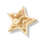 Vision Star SR icon.png